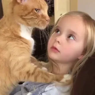 @me_sasan_21 Cat