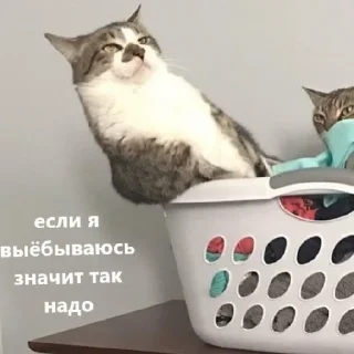 😒