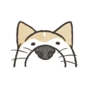 Shiba Inu