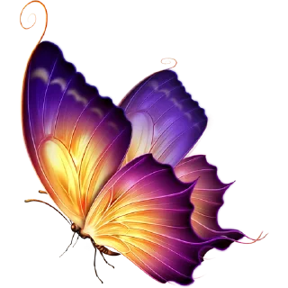 🦋