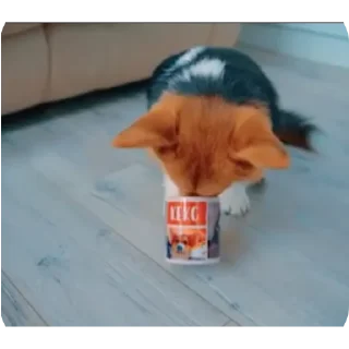 👍