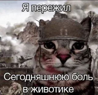 🥳