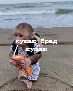 🤩