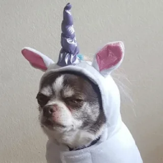 🐕