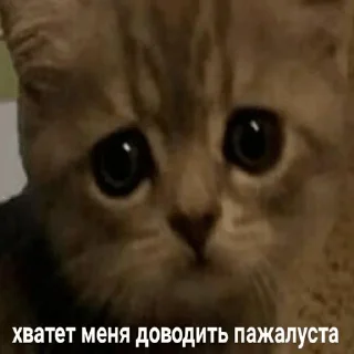 😞