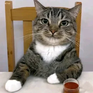 🤍