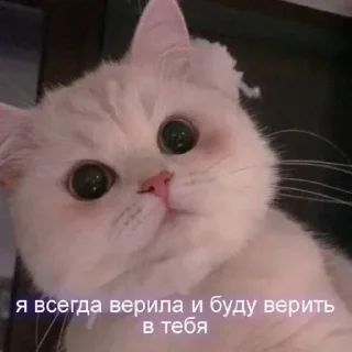 🥺