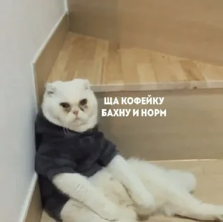☕️