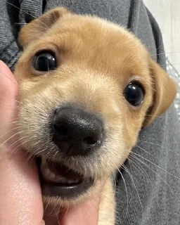 ☺️