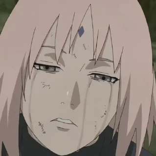 🌸