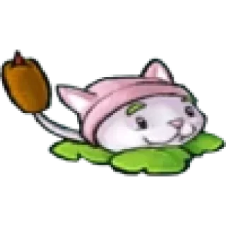 🐱