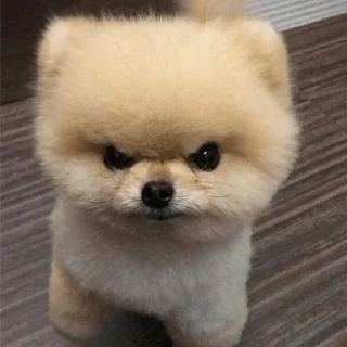 😠