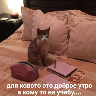 😢