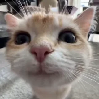 😁