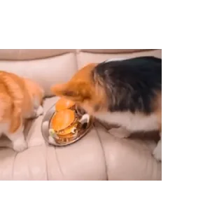 👍