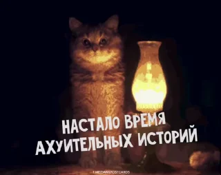 🌟