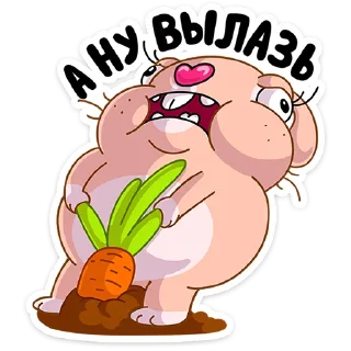 🥕