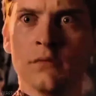 Spider Memes ➩ @Earth928B