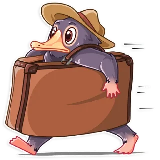 🏃‍♂️