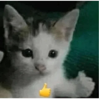 👹