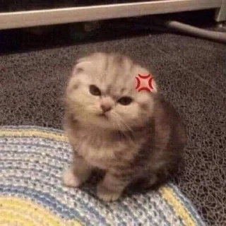 🤪