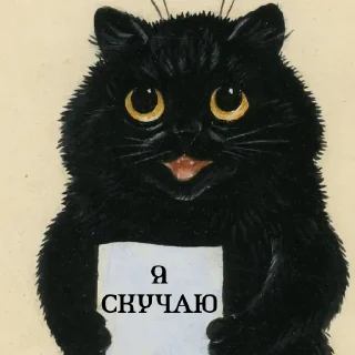 😻