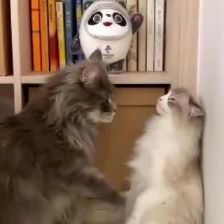 🔥