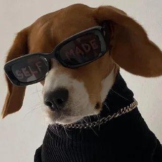 😎