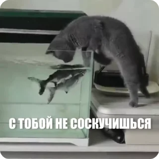 😏