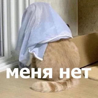 😶