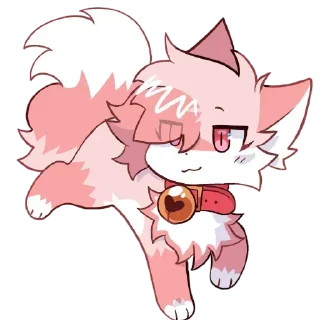 🐱