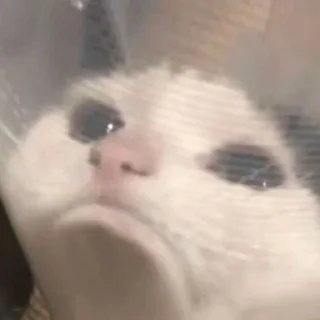 ☹️