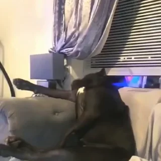 🤩