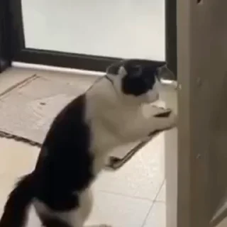 👊