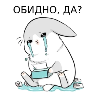 🐰