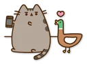 🐦