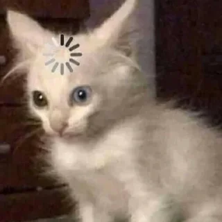 😨