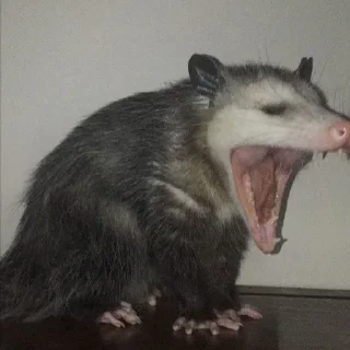 😠
