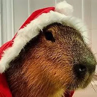🎅