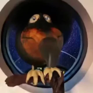 🚀
