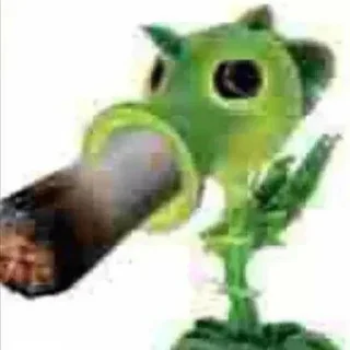 🌱