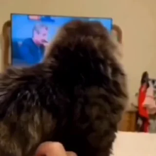 😧