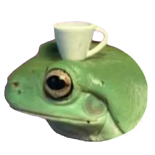 🐸