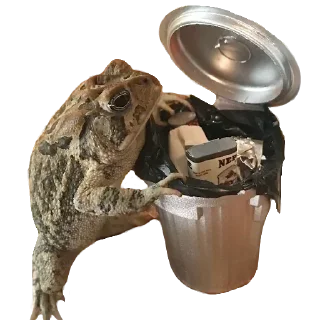 🐸