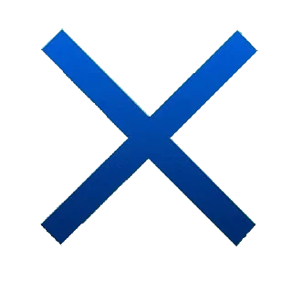 ❌