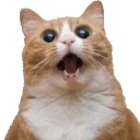 😵