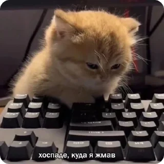 🙄