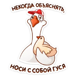 🦆