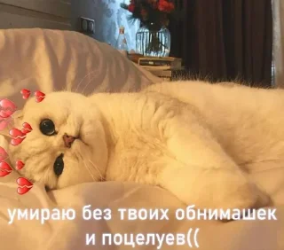 💔