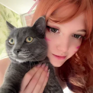 🫡